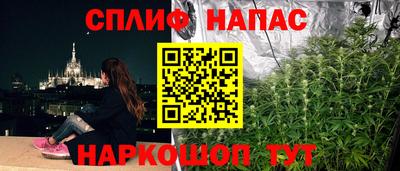 СК Севастополь