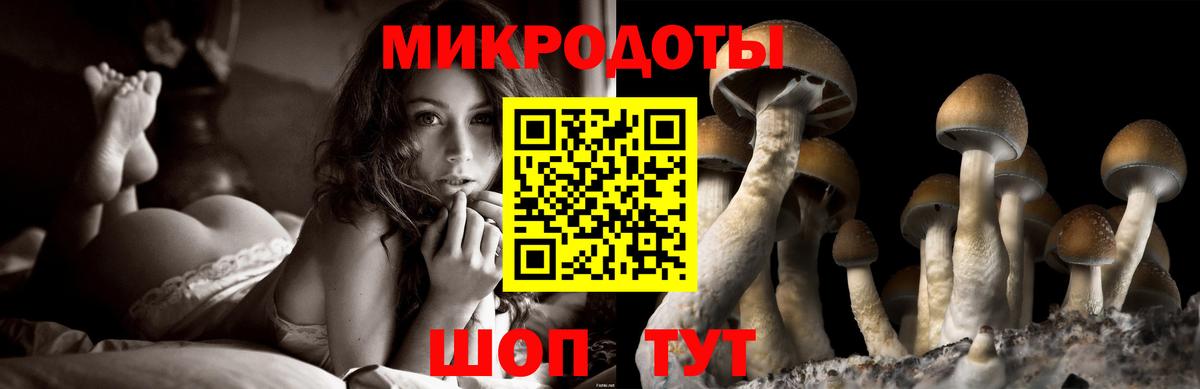 Псилоцибиновые грибы Cubensis  Вход с VPN  Приморско-Ахтарск 